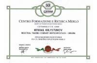 Сертификат по MERLO